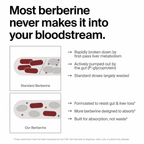 NobleGoodies HCI Berberine 1200mg