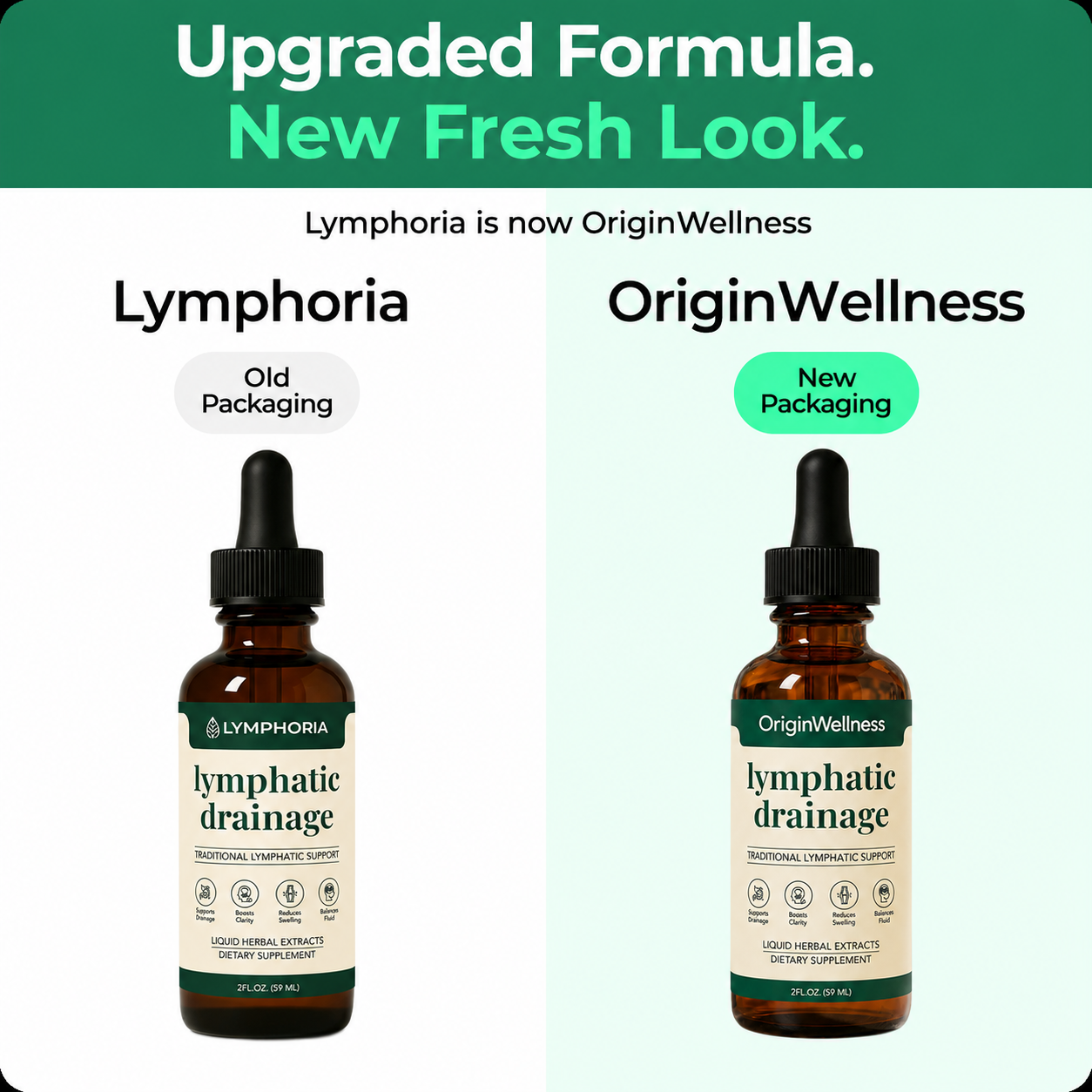 OriginWellness Lymphatic Drainage Wellness Drops