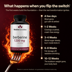 NobleGoodies HCI Berberine 1200mg