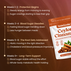Ceylon Cinnamon 7200mg Equivalent with MCT Oil