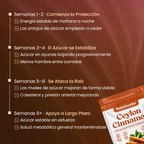 Canela de Ceilán Equivalente a 7200mg con Aceite MCT