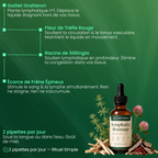 Lymphoria® Drainage Lymphatique