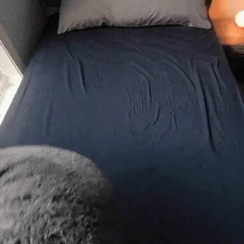 THE LOVE BLANKET