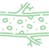 Supports Vessel Wall